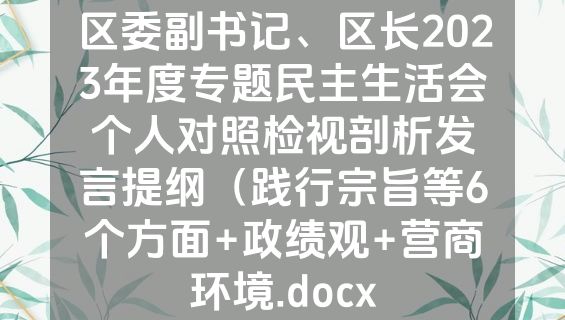 区委副书记、区长2023年度专题民主生活会个人对照检视剖析发言提纲（践行宗旨等6个方面+政绩观+营商环境.docx