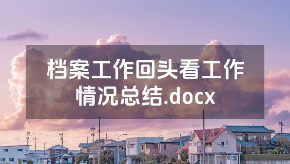 档案工作回头看工作情况总结.docx