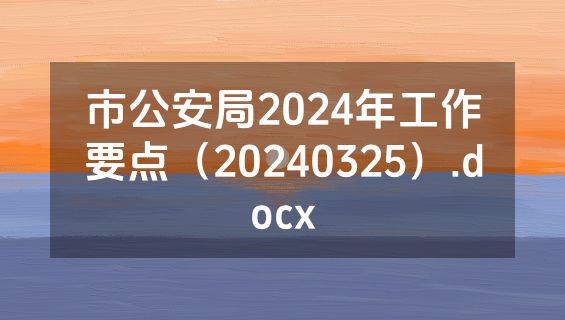 市公安局2024年工作要点（20240325）.docx