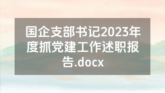 国企支部书记2023年度抓党建工作述职报告.docx