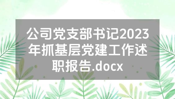 公司党支部书记2023年抓基层党建工作述职报告.docx