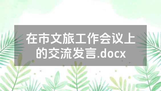 在市文旅工作会议上的交流发言.docx
