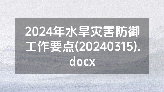 2024年水旱灾害防御工作要点(20240315).docx