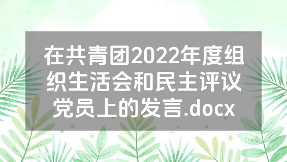 在共青团2022年度组织生活会和民主评议党员上的发言.docx
