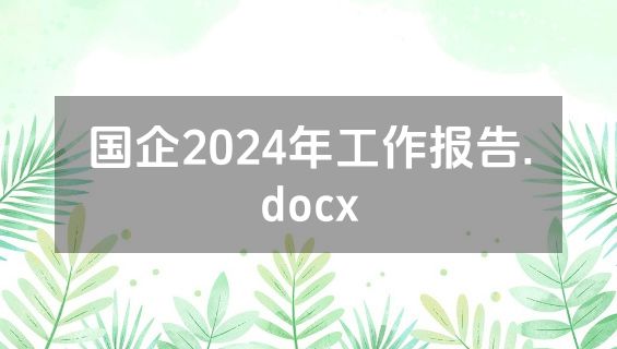 国企2024年工作报告.docx