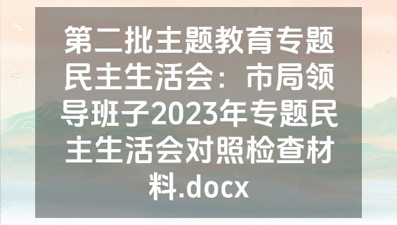 第二批主题教育专题民主生活会：市局领导班子2023年专题民主生活会对照检查材料.docx