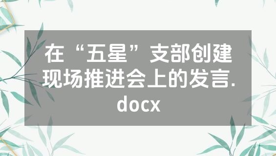 在“五星”支部创建现场推进会上的发言.docx