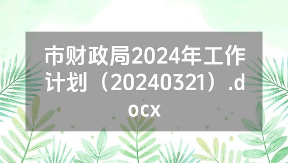 市财政局2024年工作计划（20240321）.docx