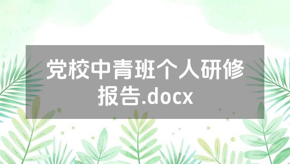 党校中青班个人研修报告.docx
