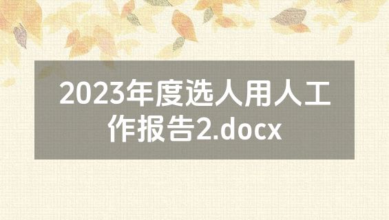 2023年度选人用人工作报告2.docx