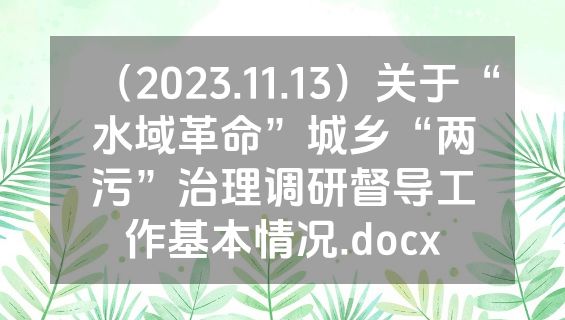 （2023.11.13）关于“水域革命”城乡“两污”治理调研督导工作基本情况.docx