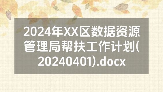 2024年XX区数据资源管理局帮扶工作计划(20240401).docx