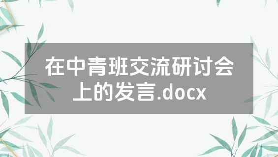 在中青班交流研讨会上的发言.docx
