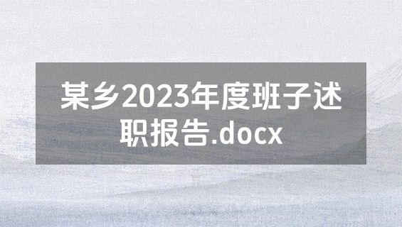 某乡2023年度班子述职报告.docx
