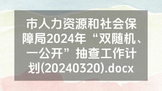 市人力资源和社会保障局2024年“双随机、一公开”抽查工作计划(20240320).docx