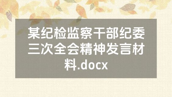 某纪检监察干部纪委三次全会精神发言材料.docx