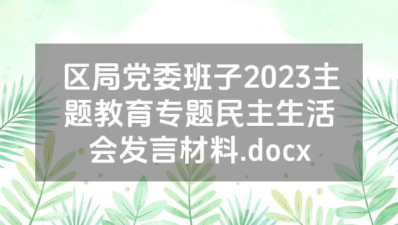 区局党委班子2023主题教育专题民主生活会发言材料.docx
