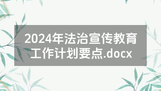 2024年法治宣传教育工作计划要点.docx