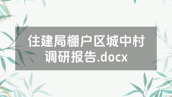 住建局棚户区城中村调研报告.docx