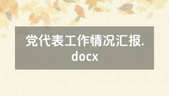 党代表工作情况汇报.docx
