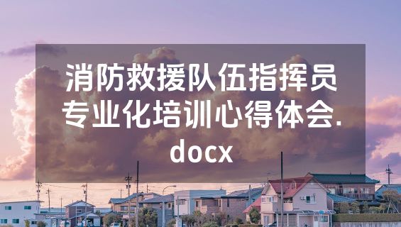 消防救援队伍指挥员专业化培训心得体会.docx