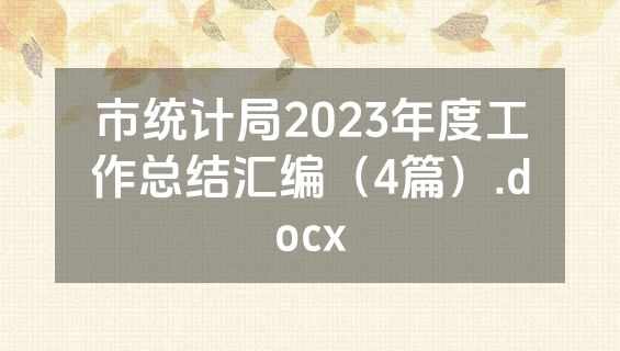 市统计局2023年度工作总结汇编（4篇）.docx
