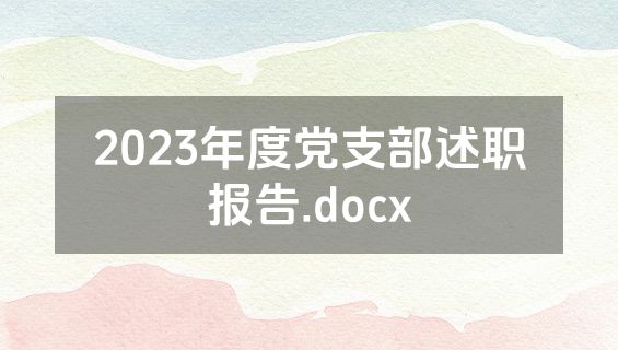 2023年度党支部述职报告.docx