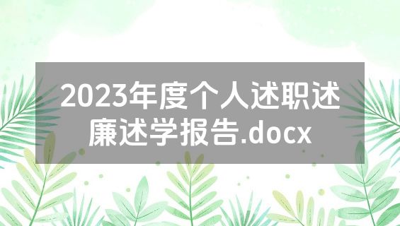 2023年度个人述职述廉述学报告.docx