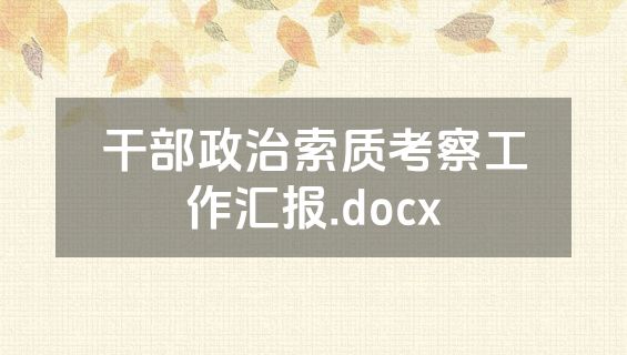 干部政治索质考察工作汇报.docx