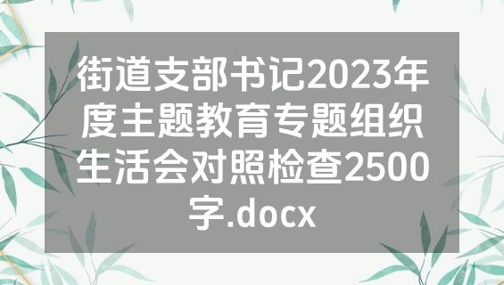 街道支部书记2023年度主题教育专题组织生活会对照检查2500字.docx