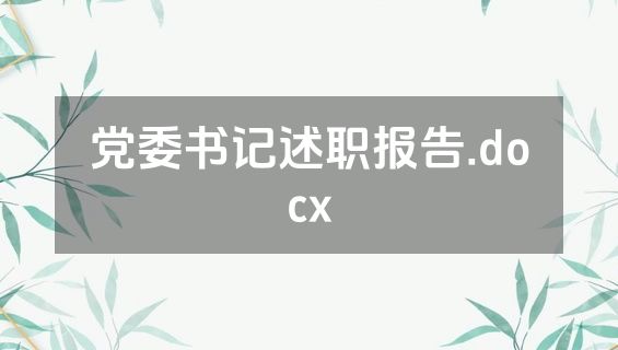 党委书记述职报告.docx