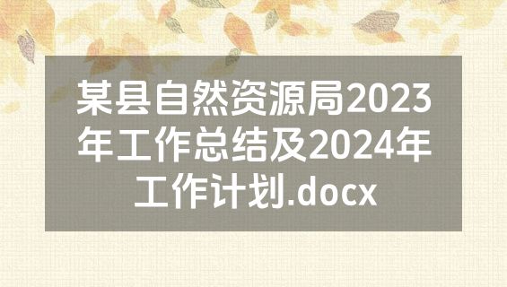 某县自然资源局2023年工作总结及2024年工作计划.docx