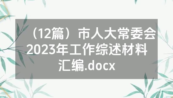 （12篇）市人大常委会2023年工作综述材料汇编.docx