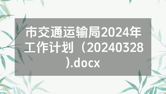 市交通运输局2024年工作计划（20240328).docx