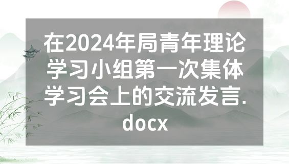 在2024年局青年理论学习小组第一次集体学习会上的交流发言.docx