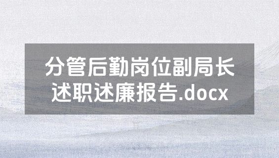 分管后勤岗位副局长述职述廉报告.docx