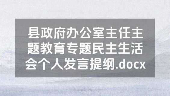 县政府办公室主任主题教育专题民主生活会个人发言提纲.docx
