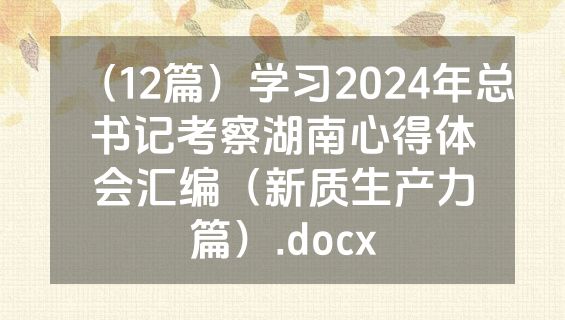 （12篇）学习2024年总书记考察湖南心得体会汇编（新质生产力篇）.docx