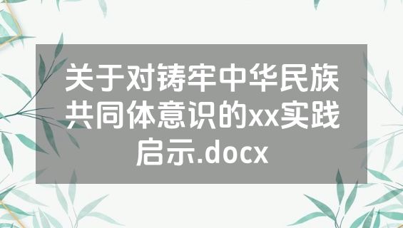 关于对铸牢中华民族共同体意识的xx实践启示.docx