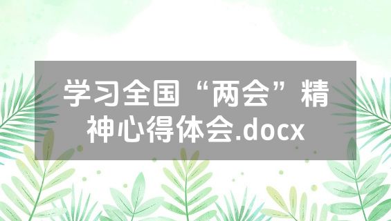 学习全国“两会”精神心得体会.docx
