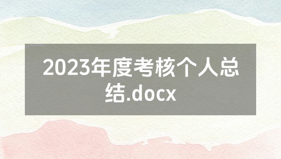 2023年度考核个人总结.docx