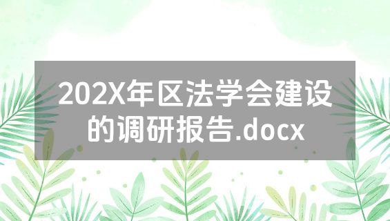 202X年区法学会建设的调研报告.docx