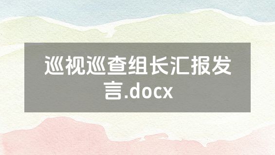 巡视巡查组长汇报发言.docx