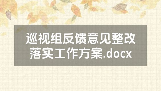 巡视组反馈意见整改落实工作方案.docx