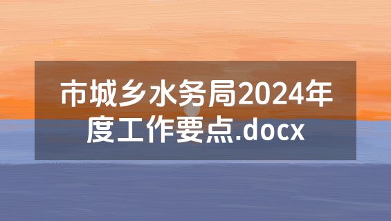 市城乡水务局2024年度工作要点.docx