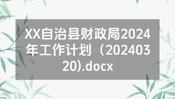 XX自治县财政局2024年工作计划（20240320).docx