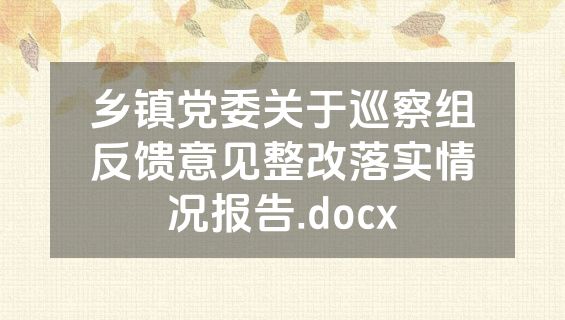 乡镇党委关于巡察组反馈意见整改落实情况报告.docx