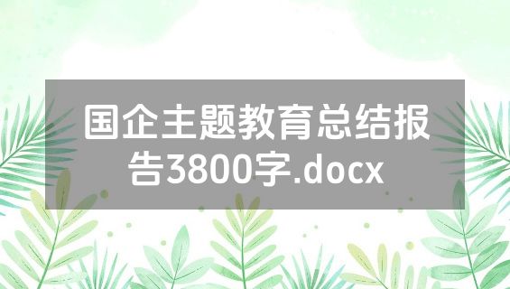 国企主题教育总结报告3800字.docx
