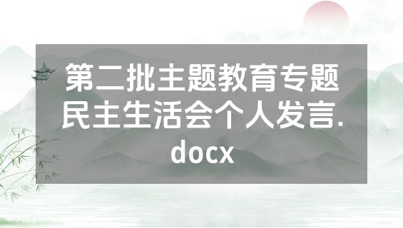第二批主题教育专题民主生活会个人发言.docx