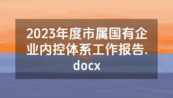 2023年度市属国有企业内控体系工作报告.docx